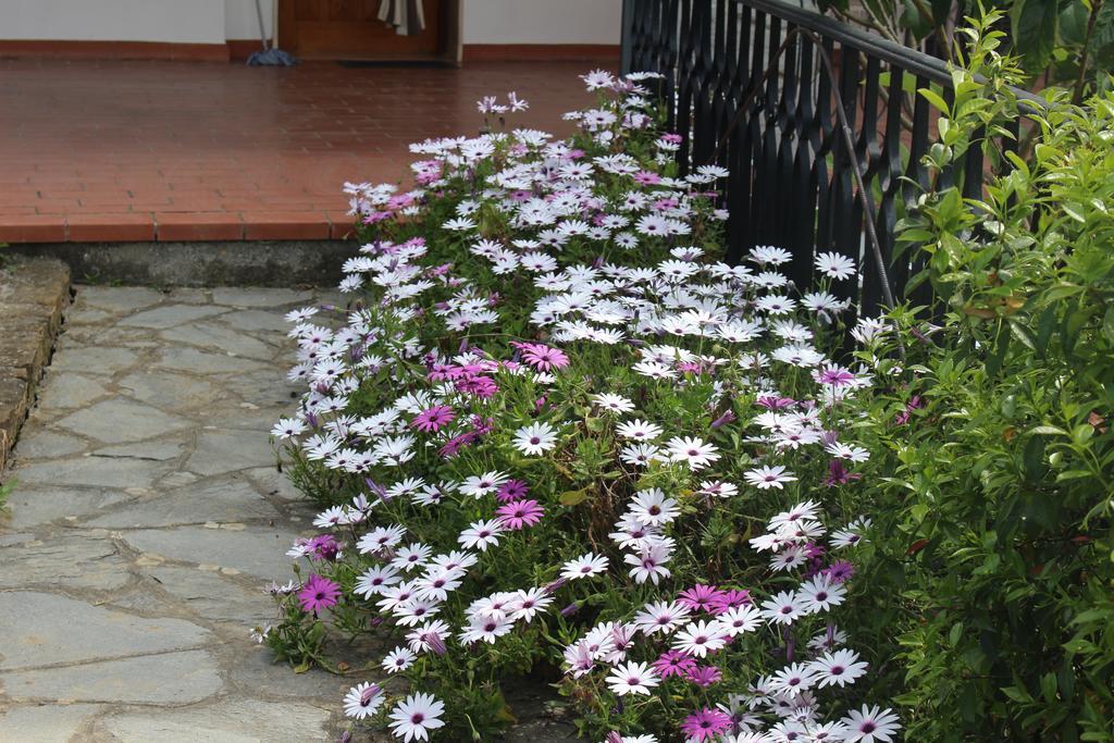 House In Caramagna Apartment Imperia Ruang foto